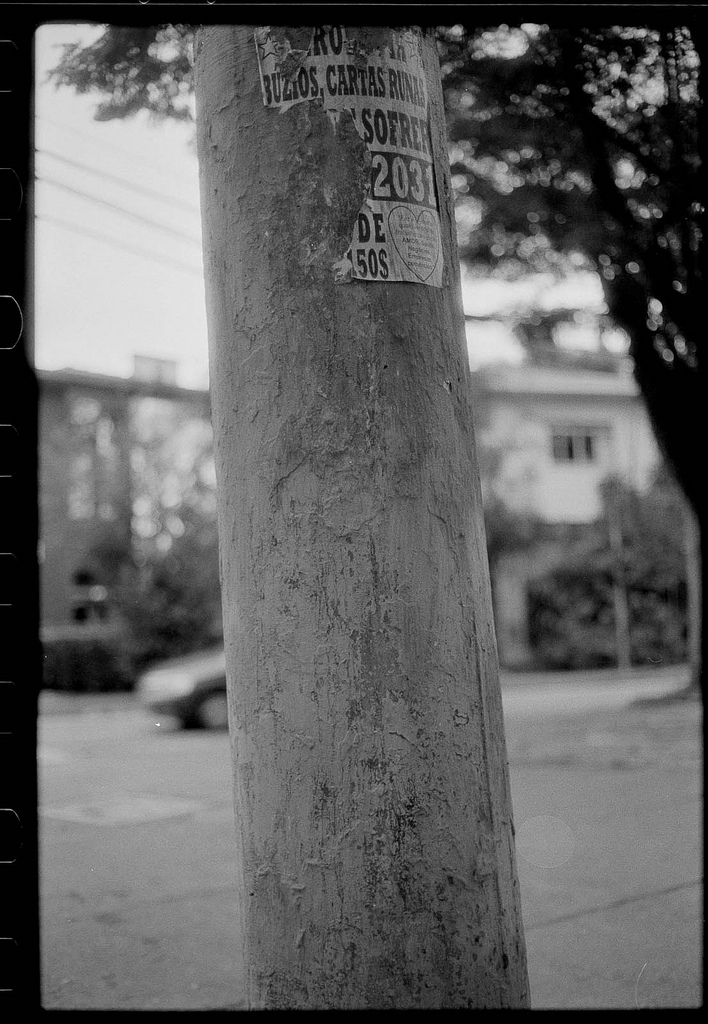 teste com filme Polypan f Guilherme Maranhão